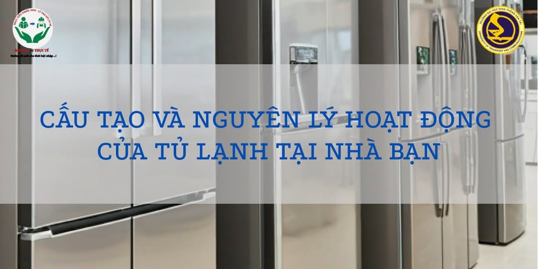 CẤU TẠO VÀ NGUYÊN LÝ HOẠT ĐỘNG CỦA TỦ LẠNH TẠI NHÀ BẠN